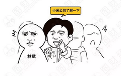 漫画:八年小米熬上市,雷军,凭什么逆袭?