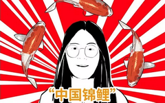 漫画：互联网中火爆的“锦鲤”养殖指南