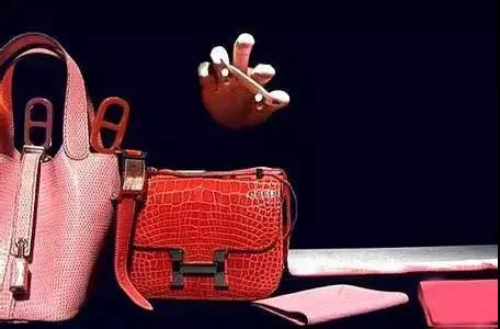 用奢侈品给你们讲金融，瞬间秒懂！