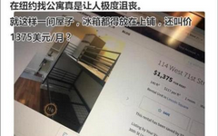 纽约一间13平“蜗居”月租达9400元！冰箱堆放在上铺