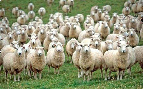 6月28日信用卡薅羊毛攻略　超级广发日