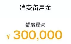 超级便宜! 农行新出30万备用金，还是独立额度！